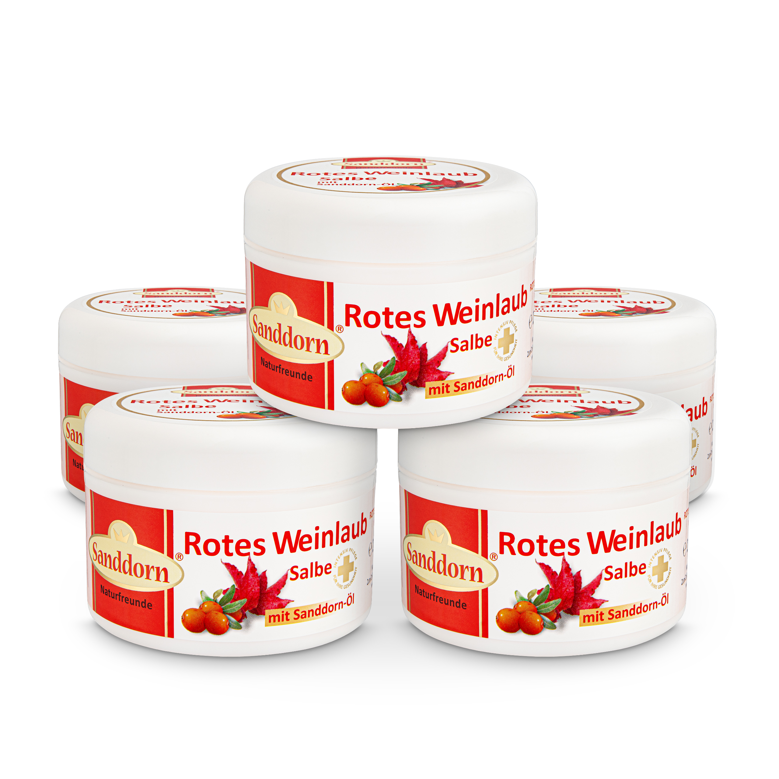 ROTES WEINLAUB Salbe mit Sanddorn-Öl - 250 ml (5er Set) ROTES WEINLAUB Salbe mit Sanddorn-Öl - 250 ml (5er Set)