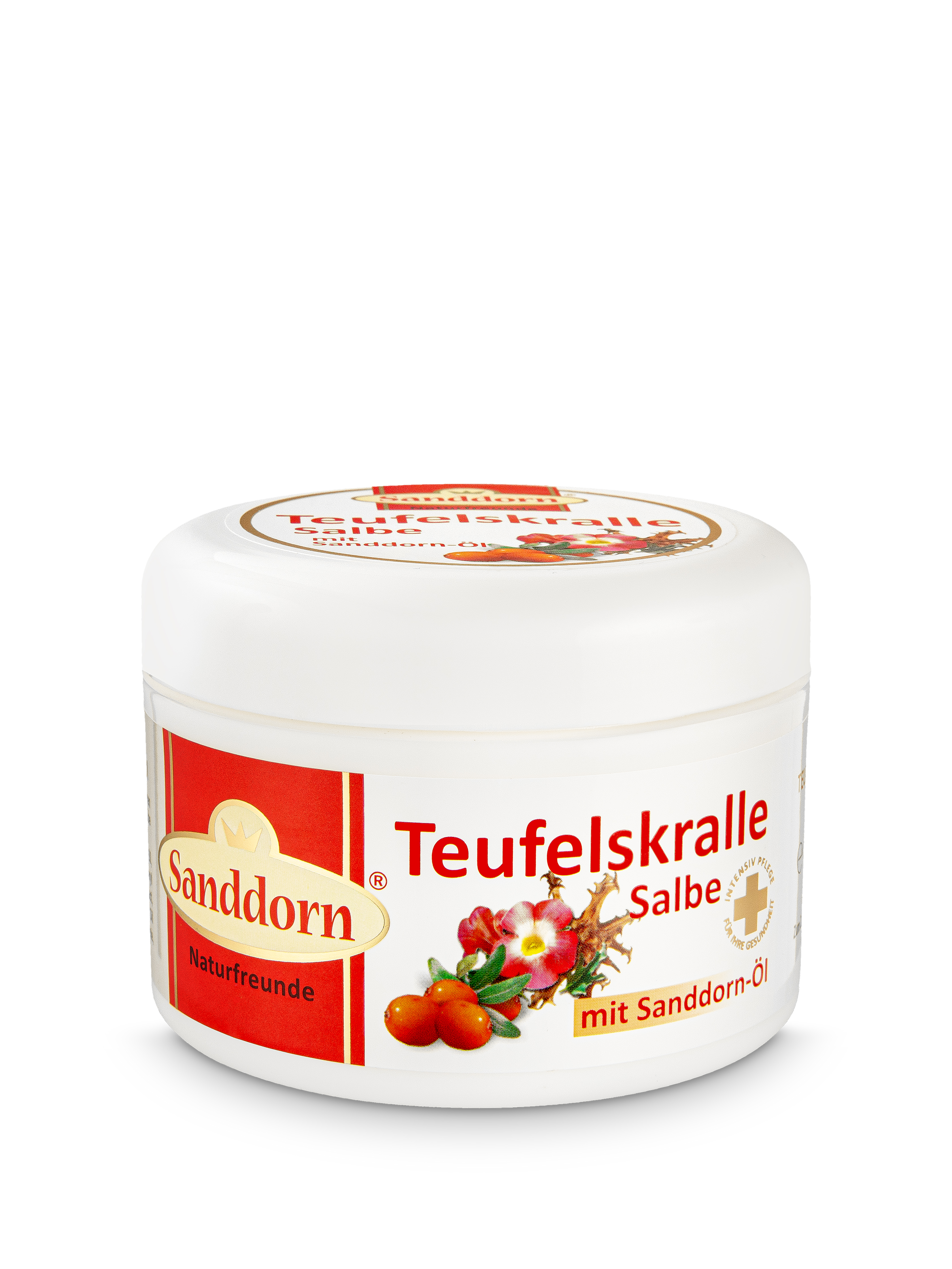 49021_Sanddorn_Teufelskralle_Druck TEUFELSKRALLE Salbe mit Sanddorn-Öl - 250 ml